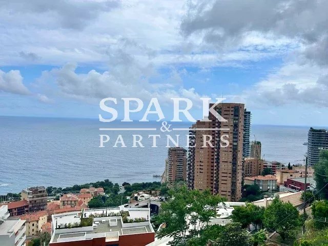 Roquebrune Cap Martin - Frontiere Monaco Penthouses