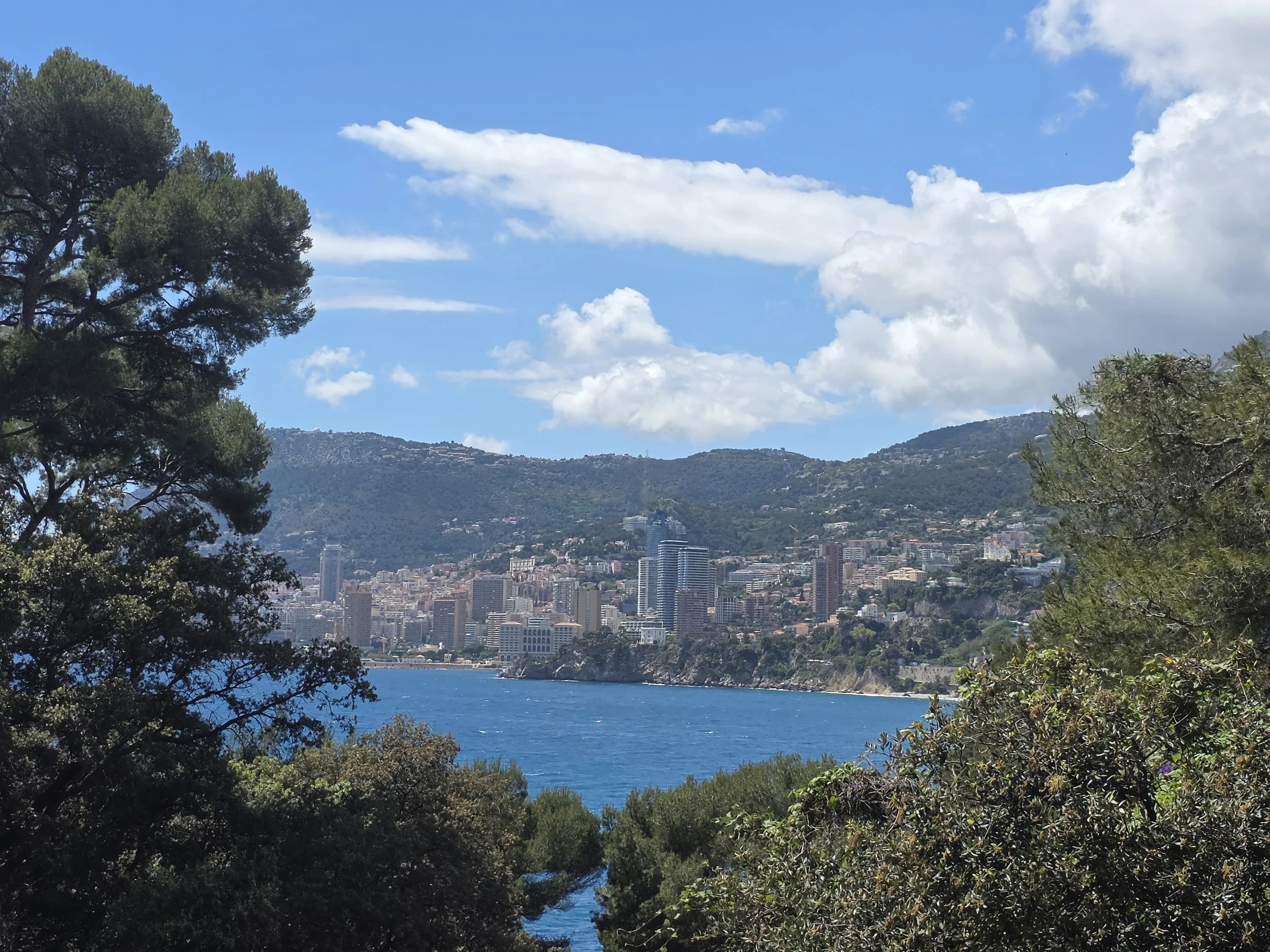 ROQUEBRUNE CAP MARTIN - 3 PIECES VUE MER - CAVE ET GARAGE - JARDIN PRIVATIF ET PISCINE