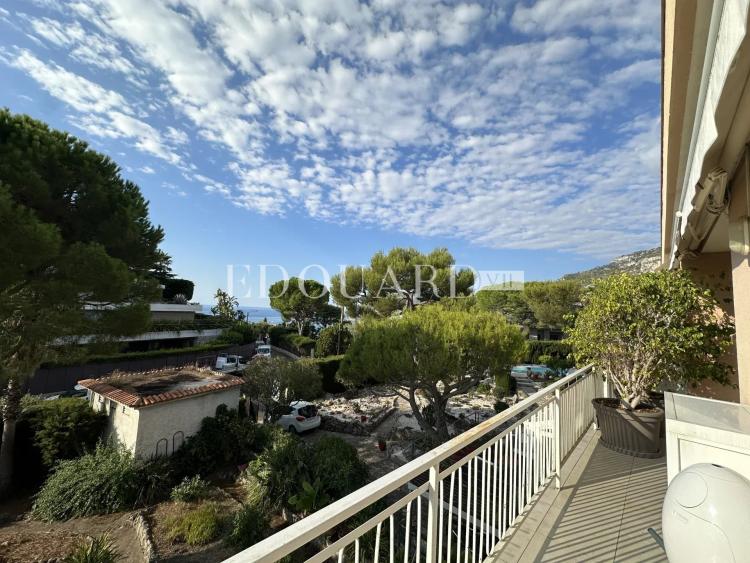 Magnifique trois pièces superbement rénové et meublé, avec spectaculaire terrasse et splendide vue panoramique